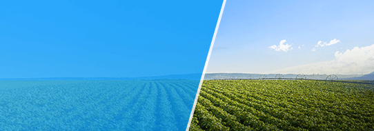 sustainability farming case 1 sustainability farming case 1