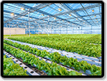 smart agriculture greenhouse smart agriculture greenhouse