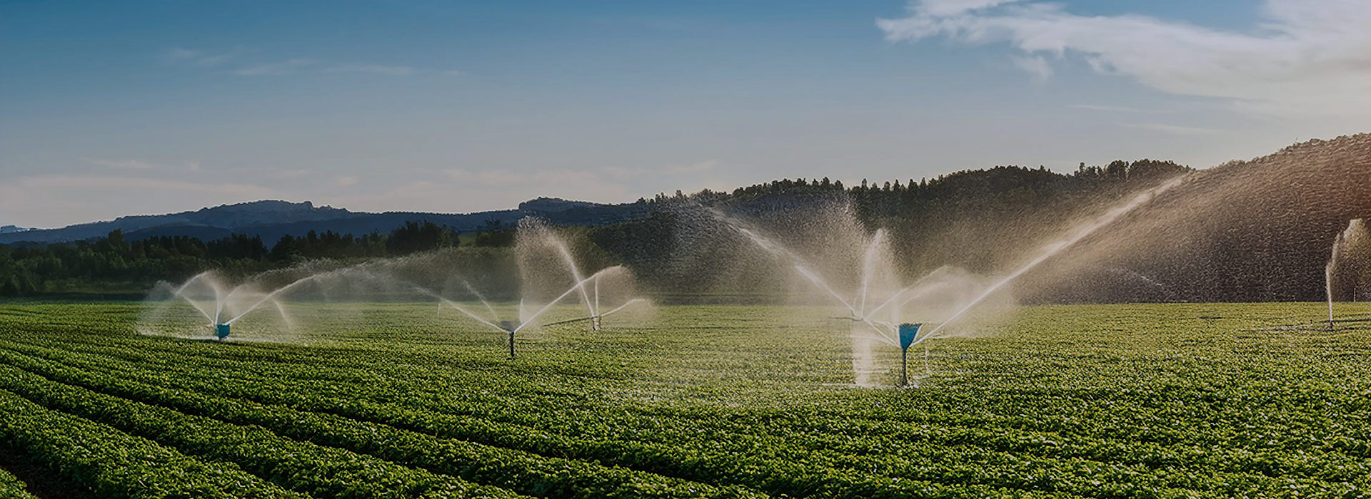 milesight smart irrigation milesight smart irrigation