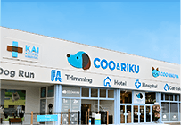 case japan pet store case japan pet store