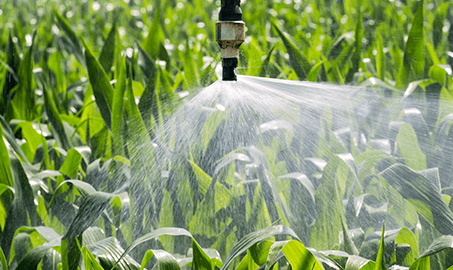 sustainability agriculture sustainability agriculture