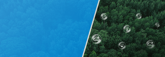 sustainability ecosystem case 1 sustainability ecosystem case 1