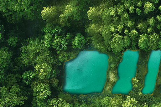 homepage sustainability campaign homepage sustainability campaign