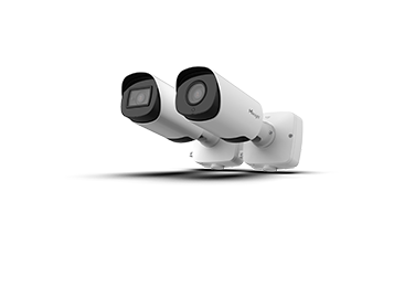 pro bullet plus pro bullet plus