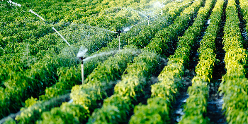 smart irrigation solution australia smart irrigation solution australia